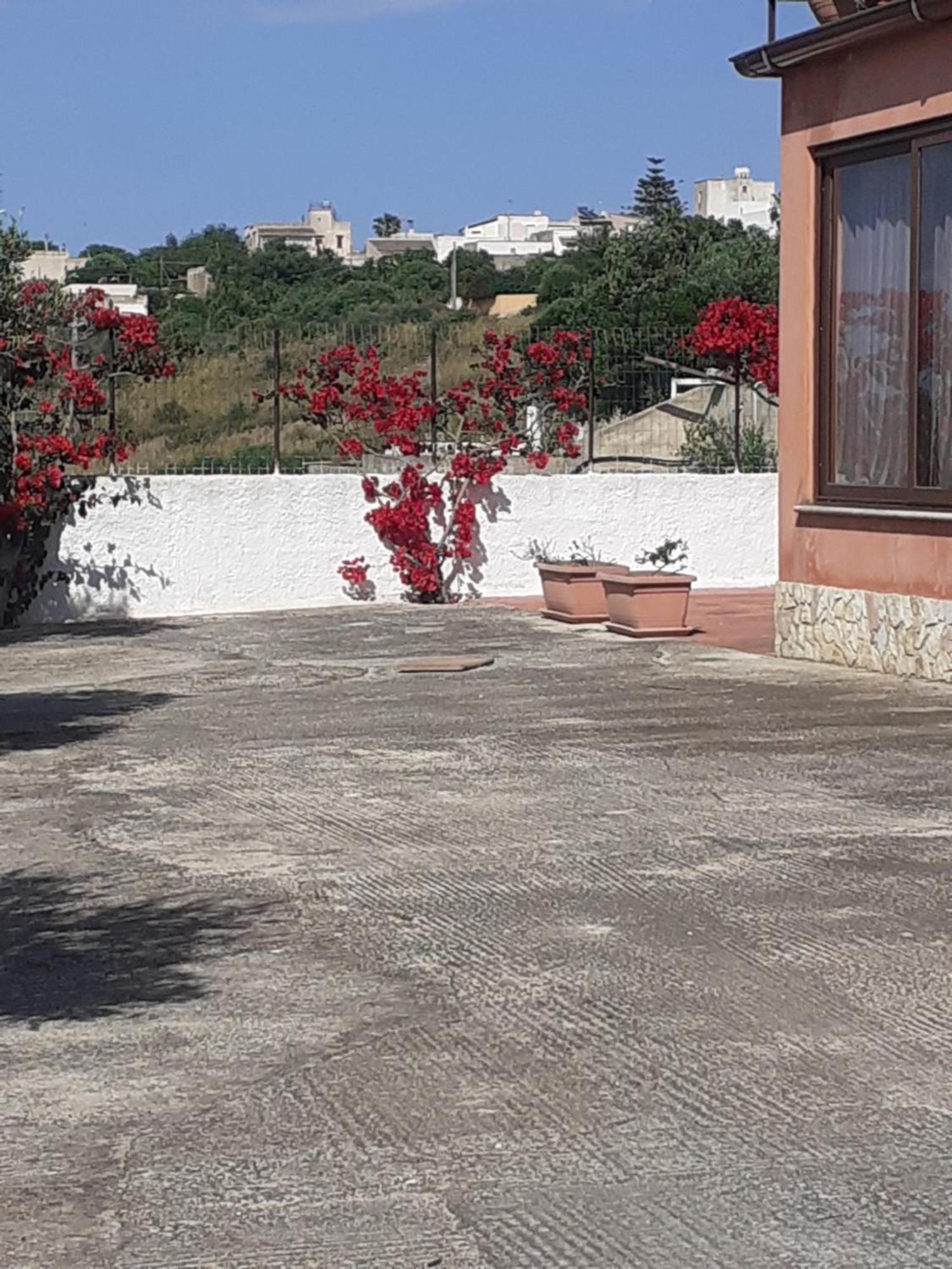 Panorama Casa Vacanze Marsala Dış mekan fotoğraf